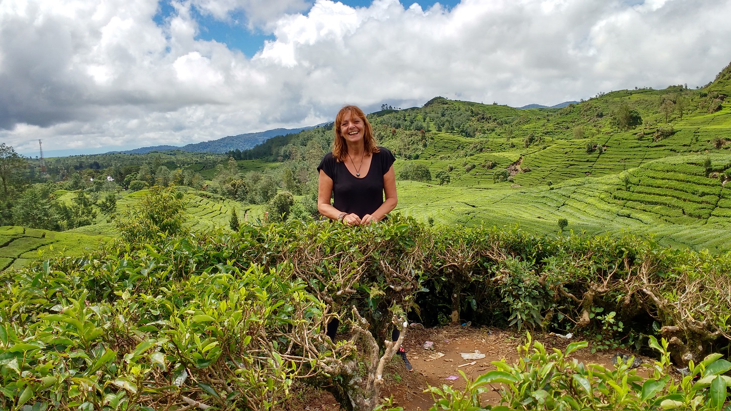 Jane Clements Life Coach standing in a tea plantation in Java